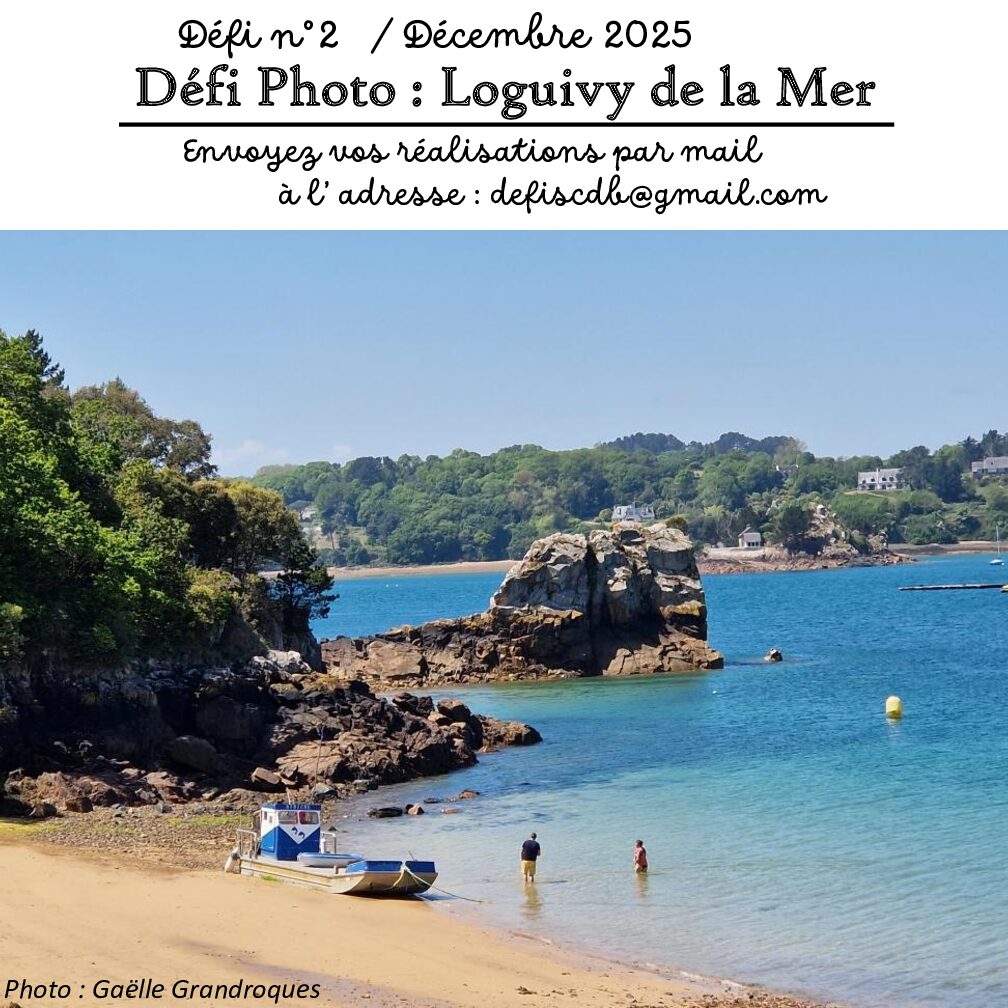 Défi du mois de décembre